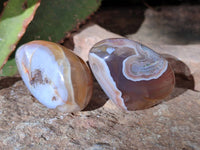 Polished Sashe River Agate Free Forms x 12 From Zimbabwe - Toprock Gemstones and Minerals 
