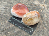 Polished Sashe River Agate Free Forms x 12 From Zimbabwe - Toprock Gemstones and Minerals 