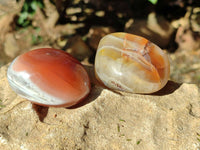 Polished Sashe River Agate Free Forms x 12 From Zimbabwe - Toprock Gemstones and Minerals 