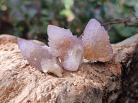Natural Lilac Spirit Quartz Clusters x 70 From Boekenhouthoek, South Africa