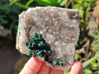 Natural Ball Malachite and Drusi Quartz On Dolomite Matrix Specimens x 6 From Kambove, Congo