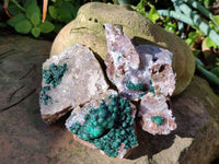 Natural Ball Malachite and Drusi Quartz On Dolomite Matrix Specimens x 6 From Kambove, Congo