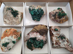 Natural Ball Malachite and Drusi Quartz On Dolomite Matrix Specimens x 6 From Kambove, Congo - Toprock Gemstones and Minerals 