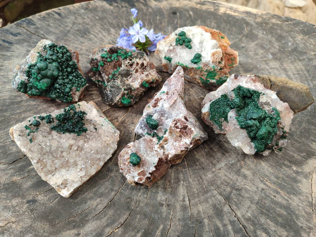 Natural Ball Malachite and Drusi Quartz On Dolomite Matrix Specimens x 6 From Kambove, Congo - Toprock Gemstones and Minerals 