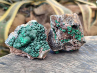 Natural Ball Malachite and Drusi Quartz On Dolomite Matrix Specimens x 6 From Kambove, Congo