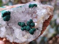 Natural Ball Malachite and Drusi Quartz On Dolomite Matrix Specimens x 6 From Kambove, Congo