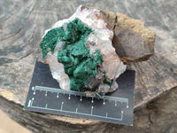 Natural Ball Malachite and Drusi Quartz On Dolomite Matrix Specimens x 6 From Kambove, Congo
