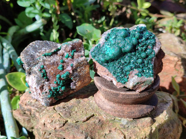 Natural Ball Malachite and Drusi Quartz On Dolomite Matrix Specimens x 6 From Kambove, Congo