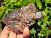 Natural Red Hematoid Quartz Clusters x 17 From Karoi, Zimbabwe