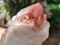 Natural Red Hematoid Quartz Clusters x 17 From Karoi, Zimbabwe