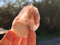 Natural Red Hematoid Quartz Clusters x 17 From Karoi, Zimbabwe