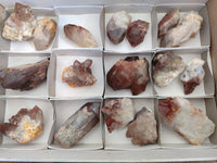 Natural Red Hematoid Quartz Clusters x 17 From Karoi, Zimbabwe
