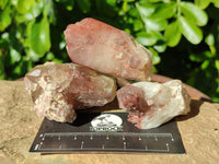 Natural Red Hematoid Quartz Clusters x 17 From Karoi, Zimbabwe