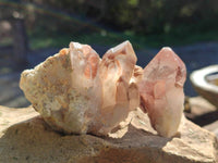 Natural Red Hematoid Quartz Clusters x 17 From Karoi, Zimbabwe