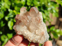 Natural Red Hematoid Quartz Clusters x 17 From Karoi, Zimbabwe