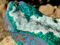 Natural Large Dioptase with Shattuckite and Drusy Quartz On Dolomite Cabinet Specimen x 1 From Likasi, Congo
