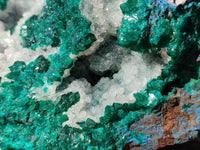 Natural Large Dioptase with Shattuckite and Drusy Quartz On Dolomite Cabinet Specimen x 1 From Likasi, Congo