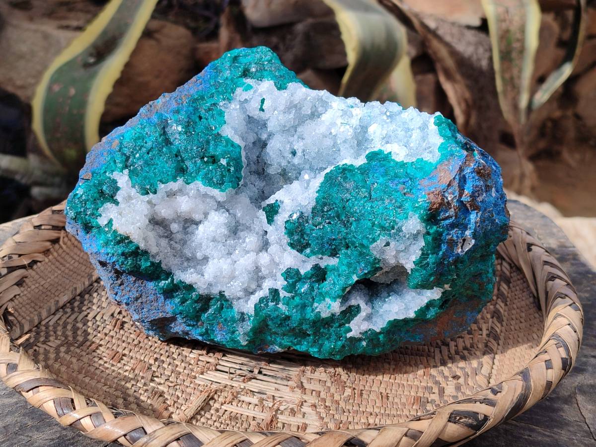 Natural Large Dioptase with Shattuckite and Drusy Quartz On Dolomite Cabinet Specimen x 1 From Likasi, Congo - Toprock Gemstones and Minerals 