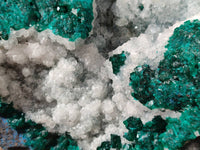 Natural Large Dioptase with Shattuckite and Drusy Quartz On Dolomite Cabinet Specimen x 1 From Likasi, Congo