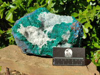 Natural Large Dioptase with Shattuckite and Drusy Quartz On Dolomite Cabinet Specimen x 1 From Likasi, Congo