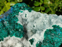 Natural Large Dioptase with Shattuckite and Drusy Quartz On Dolomite Cabinet Specimen x 1 From Likasi, Congo