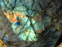 Polished Labradorite Standing Free Form x 1 From Tulear, Madagascar - Toprock Gemstones and Minerals 