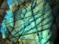 Polished Labradorite Standing Free Form x 1 From Tulear, Madagascar - Toprock Gemstones and Minerals 