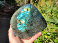 Polished Labradorite Standing Free Form x 1 From Tulear, Madagascar - Toprock Gemstones and Minerals 