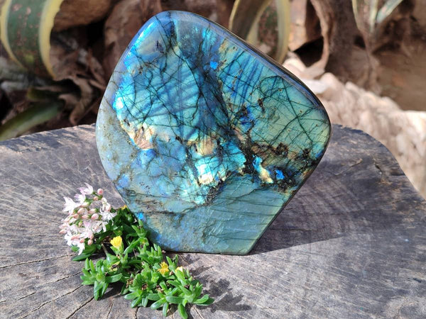 Polished Labradorite Standing Free Form x 1 From Tulear, Madagascar