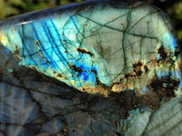 Polished Labradorite Standing Free Form x 1 From Tulear, Madagascar - Toprock Gemstones and Minerals 