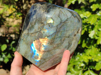 Polished Labradorite Standing Free Form x 1 From Tulear, Madagascar - Toprock Gemstones and Minerals 