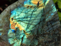 Polished Labradorite Standing Free Form x 1 From Tulear, Madagascar - Toprock Gemstones and Minerals 