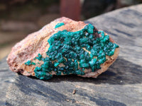 Natural Dioptase Specimens x 12 From Likasi, Congo