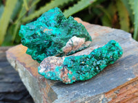 Natural Dioptase Specimens x 12 From Likasi, Congo