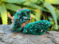 Natural Dioptase Specimens x 12 From Likasi, Congo