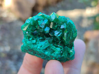 Natural Dioptase Specimens x 12 From Likasi, Congo