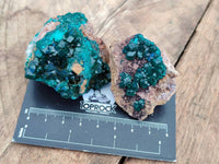 Natural Dioptase Specimens x 12 From Likasi, Congo