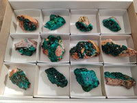 Natural Dioptase Specimens x 12 From Likasi, Congo