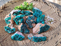 Natural Dioptase Specimens x 12 From Likasi, Congo