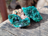 Natural Dioptase Specimens x 12 From Likasi, Congo
