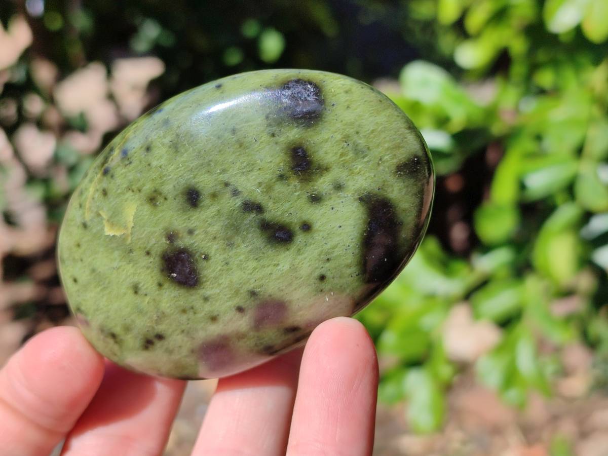 Polished Leopard Stone Free Forms x 8 From Nyanga, Zimbabwe - Toprock Gemstones and Minerals 