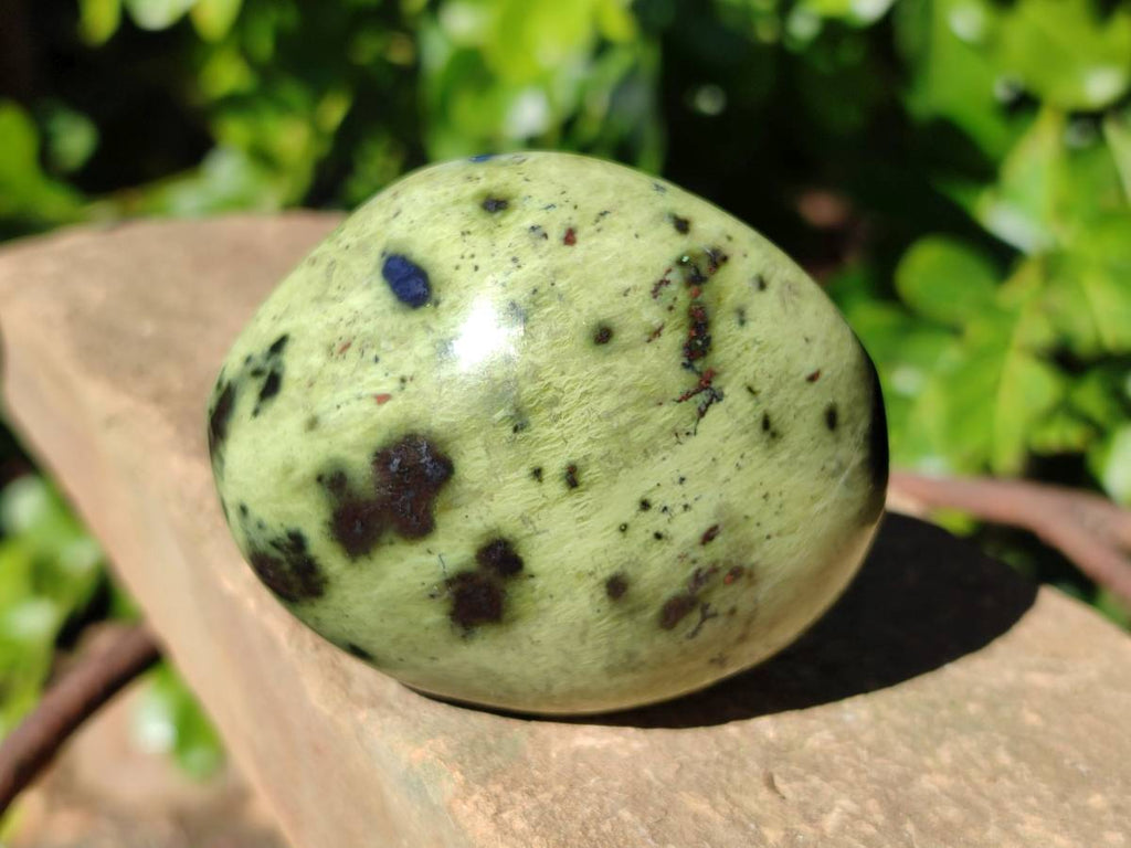Polished Leopard Stone Free Forms x 8 From Nyanga, Zimbabwe - Toprock Gemstones and Minerals 