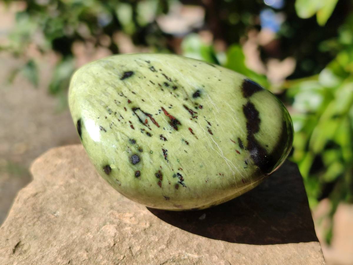 Polished Leopard Stone Free Forms x 8 From Nyanga, Zimbabwe - Toprock Gemstones and Minerals 