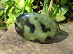 Polished Leopard Stone Free Forms x 8 From Nyanga, Zimbabwe - Toprock Gemstones and Minerals 