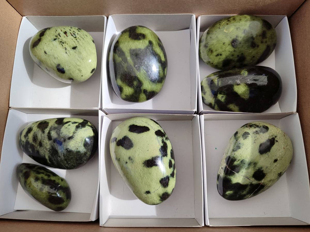 Polished Leopard Stone Free Forms x 8 From Nyanga, Zimbabwe - Toprock Gemstones and Minerals 