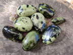 Polished Leopard Stone Free Forms x 8 From Nyanga, Zimbabwe - Toprock Gemstones and Minerals 