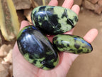 Polished Leopard Stone Free Forms x 8 From Nyanga, Zimbabwe - Toprock Gemstones and Minerals 