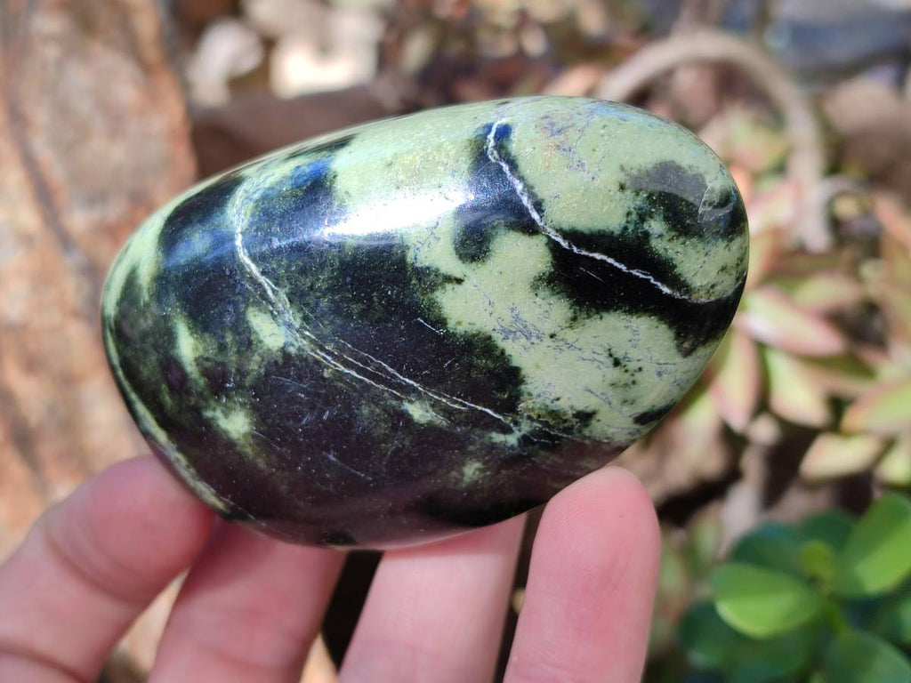 Polished Leopard Stone Free Forms x 8 From Nyanga, Zimbabwe - Toprock Gemstones and Minerals 