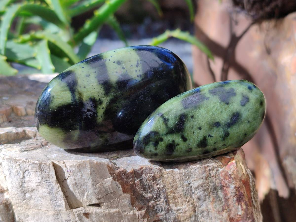 Polished Leopard Stone Free Forms x 8 From Nyanga, Zimbabwe - Toprock Gemstones and Minerals 