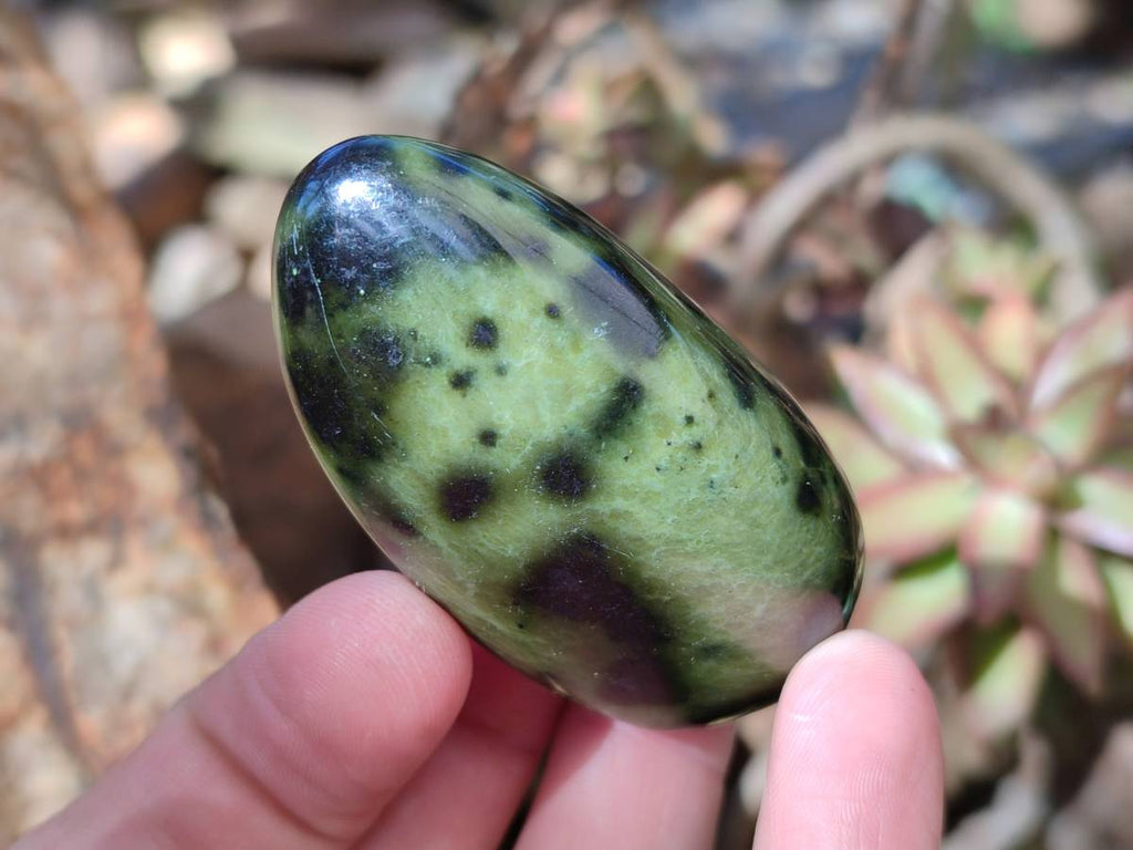 Polished Leopard Stone Free Forms x 8 From Nyanga, Zimbabwe - Toprock Gemstones and Minerals 